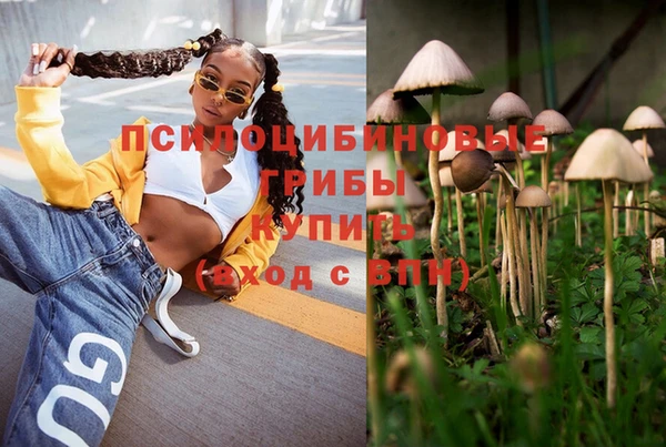 синтетический гашиш Алексин