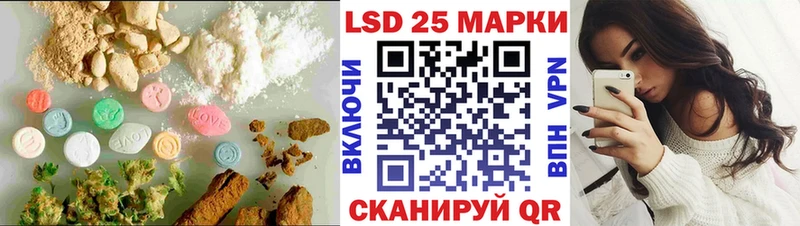 дарнет шоп  Зуевка  Лсд 25 экстази кислота 