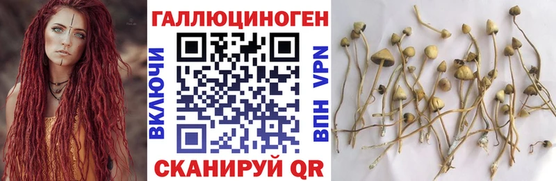 где продают наркотики  Зуевка  Галлюциногенные грибы мицелий 